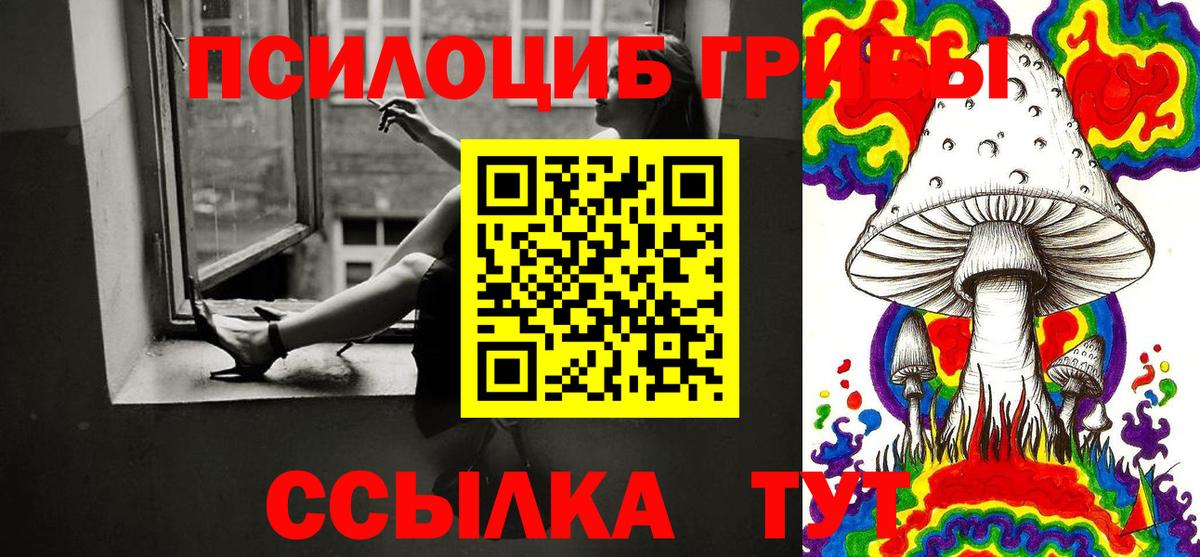 Зеленодольск  Галлюциногенные грибы прущие грибы  Псилоцибиновые грибы Magic Shrooms  Вход с VPN 